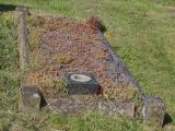 image of grave number 909061